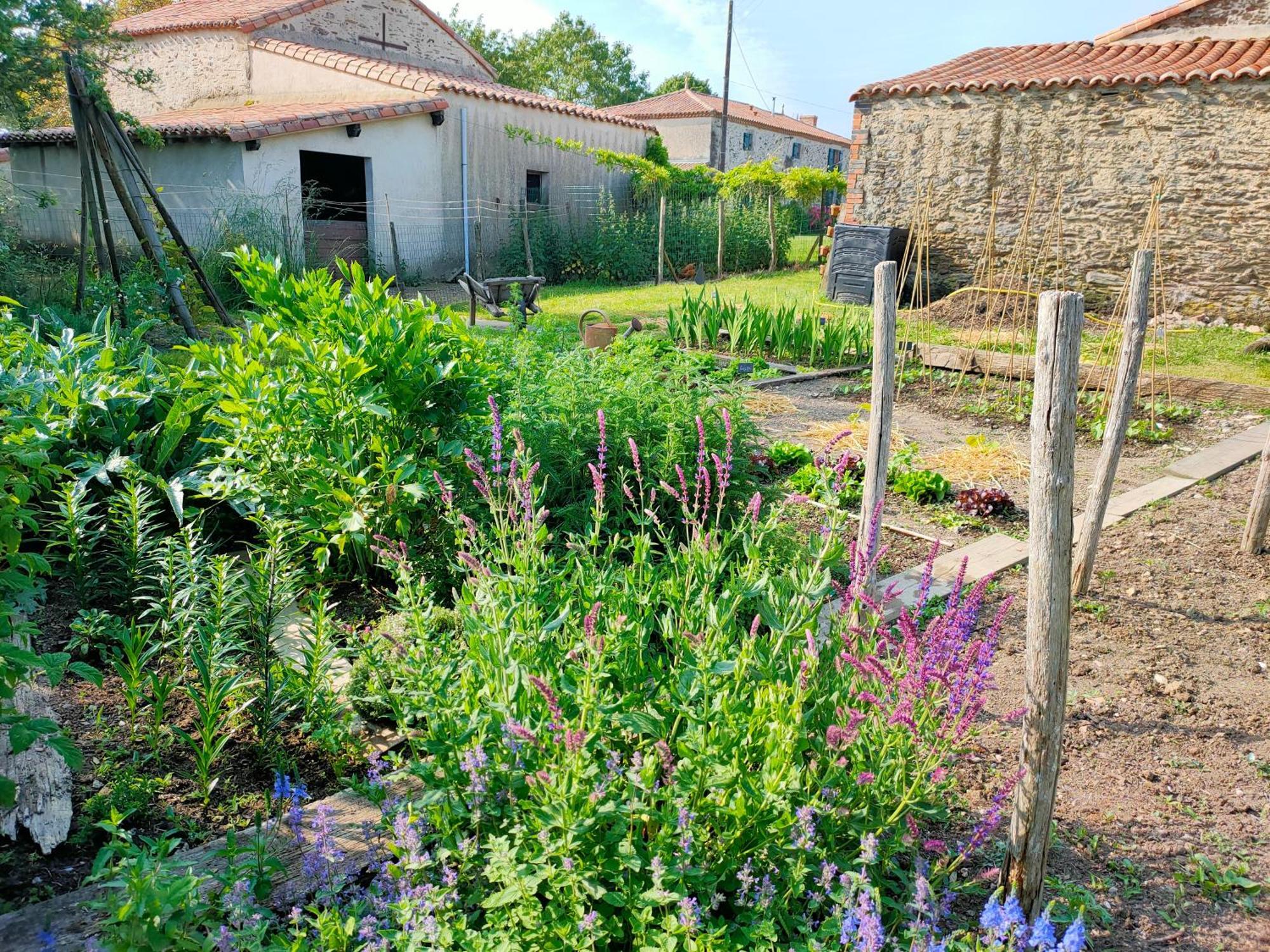 Le Vieux Logis De La Galocherie Sainte-Florence Kültér fotó